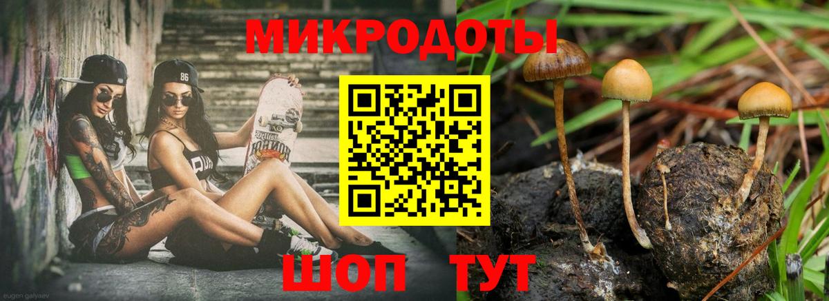 Псилоцибиновые грибы Psilocybine cubensis Зима